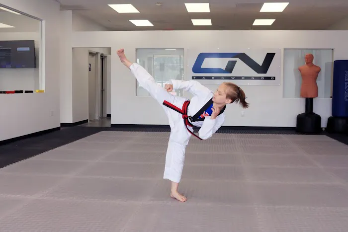 CN Taekwondo Olympic Academy Picture 4