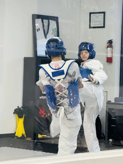 CN Taekwondo Olympic Academy Picture 8