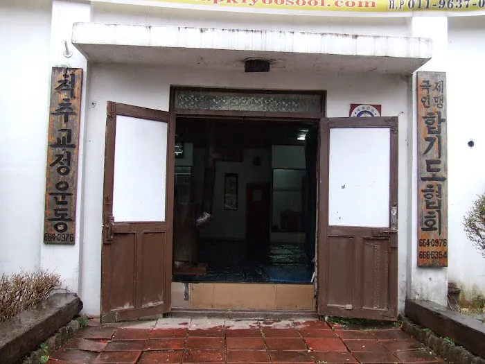 International Hapkiyoosool Federation Picture 3