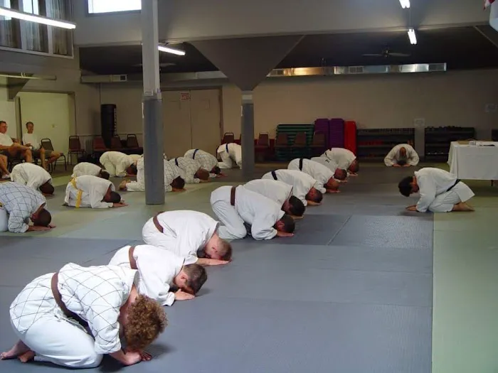 International Hapkiyoosool Federation Picture 6