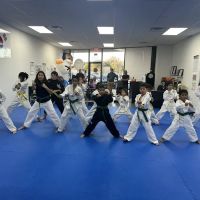 Master Kang's Evolve Taekwondo ico