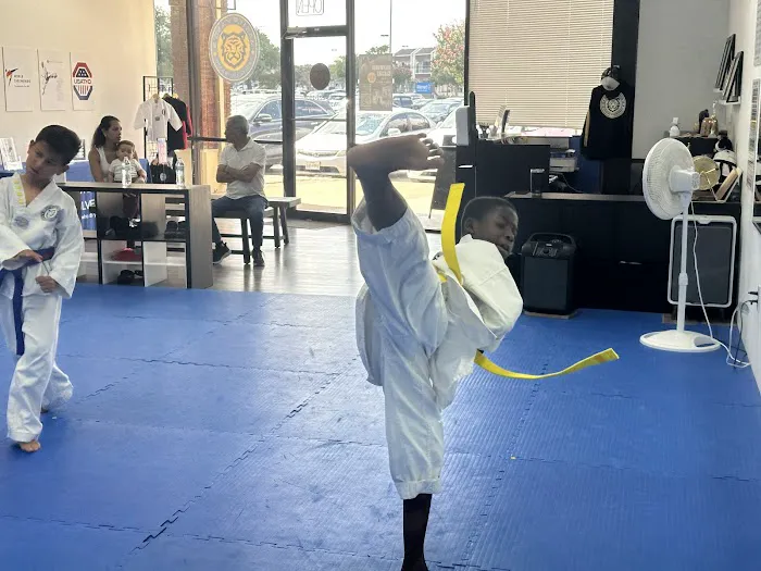 Master Kang's Evolve Taekwondo Picture 4