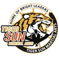 TIGER SUN MARTIAL ARTS PLANO / KARATE TAEKWONDO ico