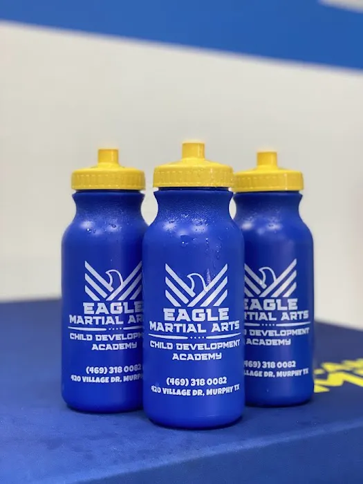 Eagle Martial Arts Murphy Picture 8