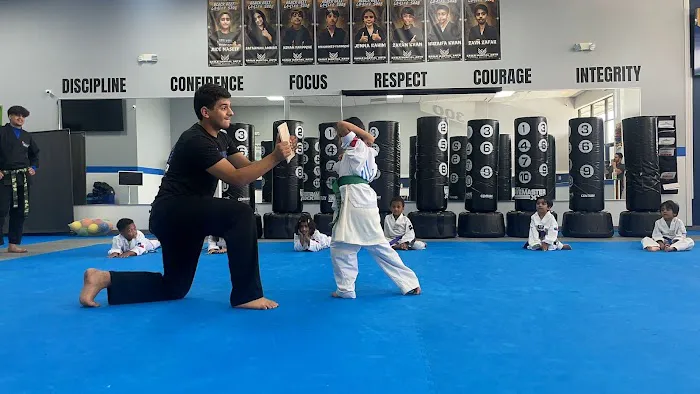 Eagle Martial Arts Murphy Picture 5