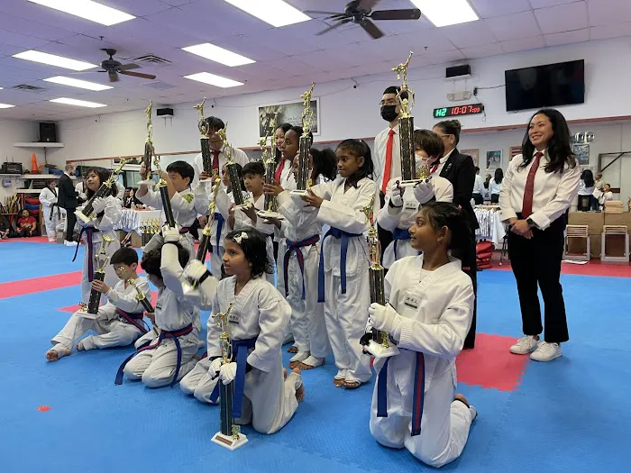 Lee's U.S. Tae Kwon Do - Martial Arts Plano Picture 4