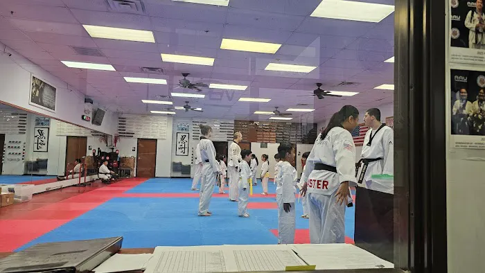 Lee's U.S. Tae Kwon Do - Martial Arts Plano Picture 2