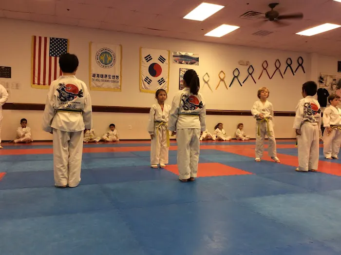Lee's U.S. Tae Kwon Do - Martial Arts Plano Picture 8