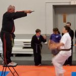 Michael Lovell's American Karate