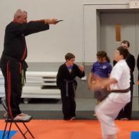 Michael Lovell's American Karate ico
