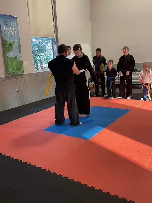 Michael Lovell's American Karate Picture 10