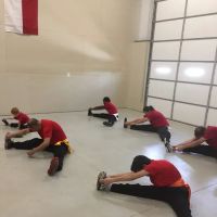 Authentic White Tiger Kung Fu/DFW ico