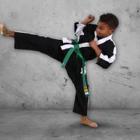 Championship Martial Arts - Lantana ico