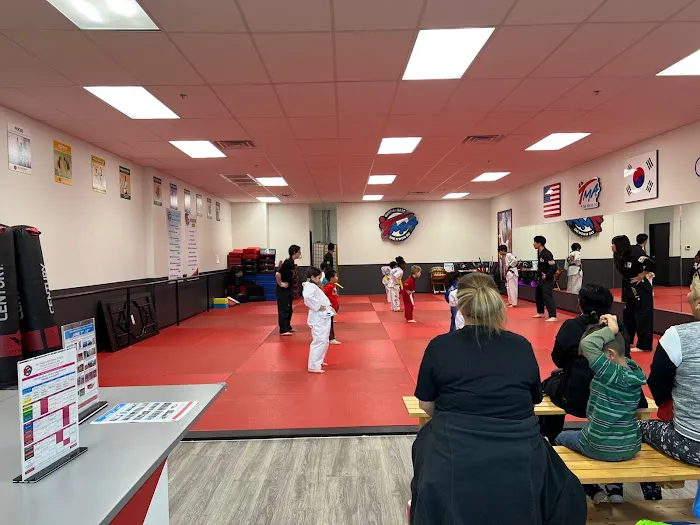 TMA Tae Kwon Do Picture 2