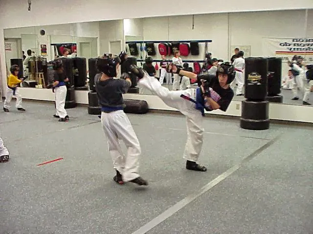Denton Taekwondo Academy Picture 1
