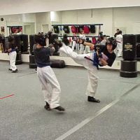 Denton Taekwondo Academy ico