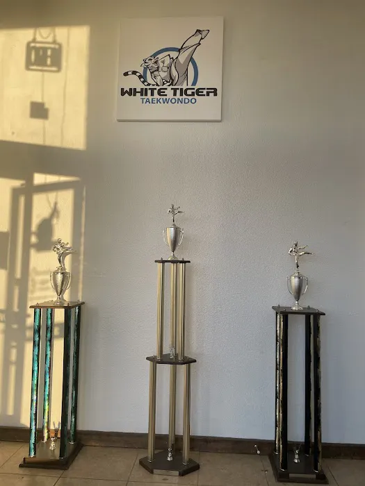 White Tiger Taekwondo Picture 2
