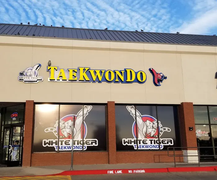 White Tiger Taekwondo Picture 9