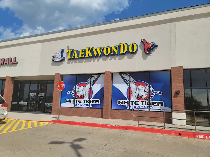 White Tiger Taekwondo Picture 6