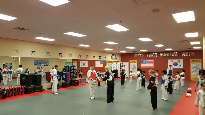 White Tiger Taekwondo Picture 10
