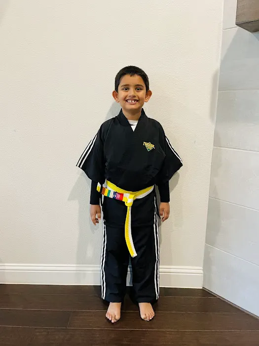 Premier Martial Arts Picture 1