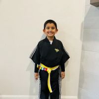 Premier Martial Arts ico