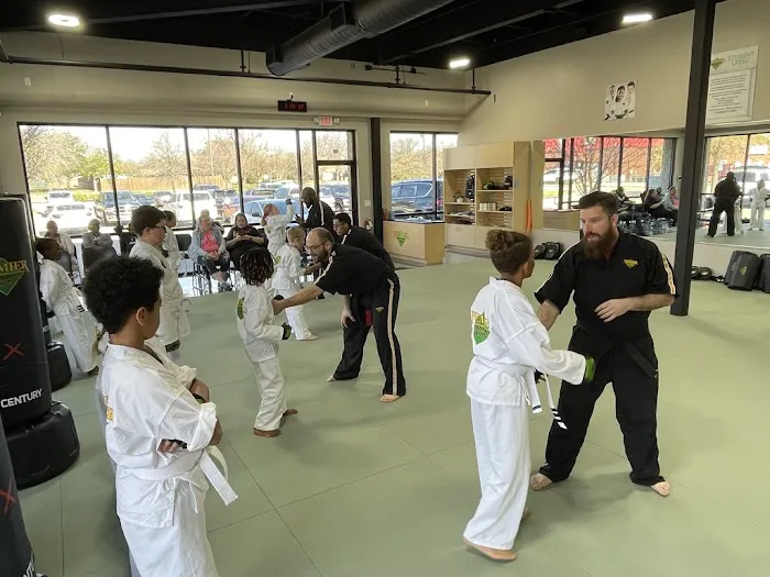 Premier Martial Arts Picture 2