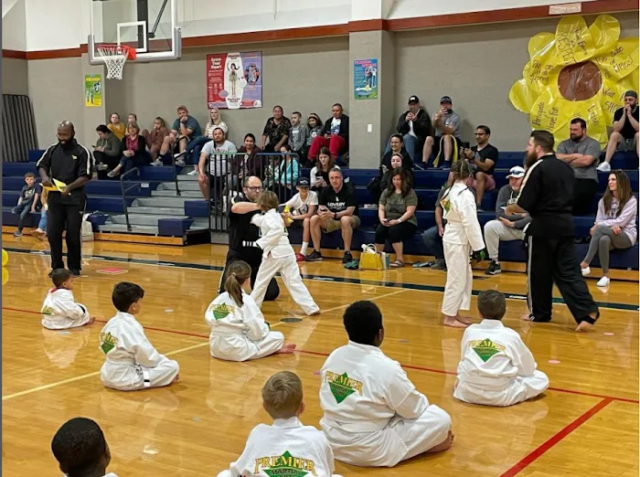 Premier Martial Arts Picture 10