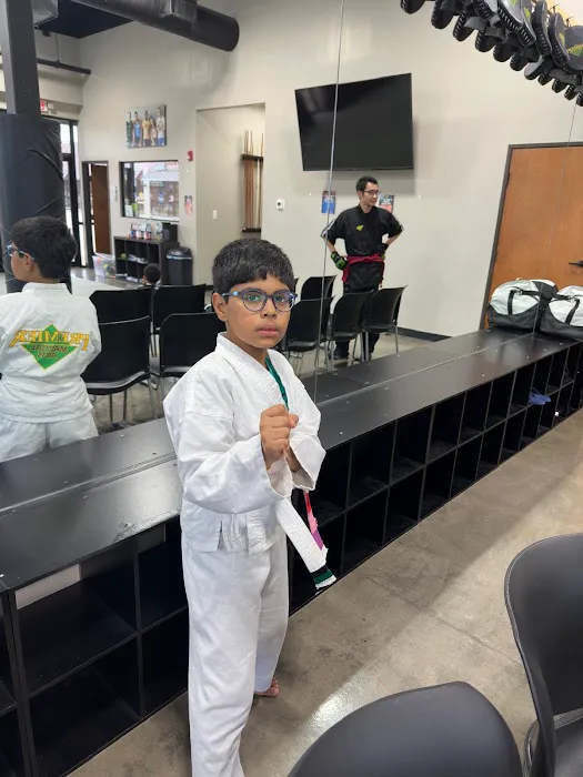 Premier Martial Arts Picture 8