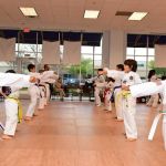 United States Taekwondo Academy