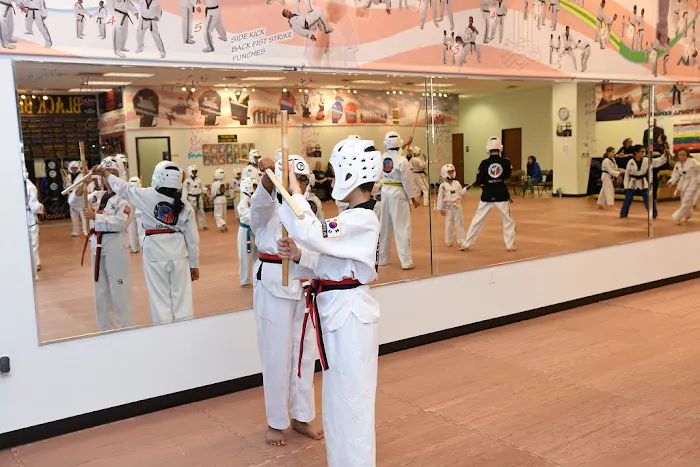 United States Taekwondo Academy Picture 4