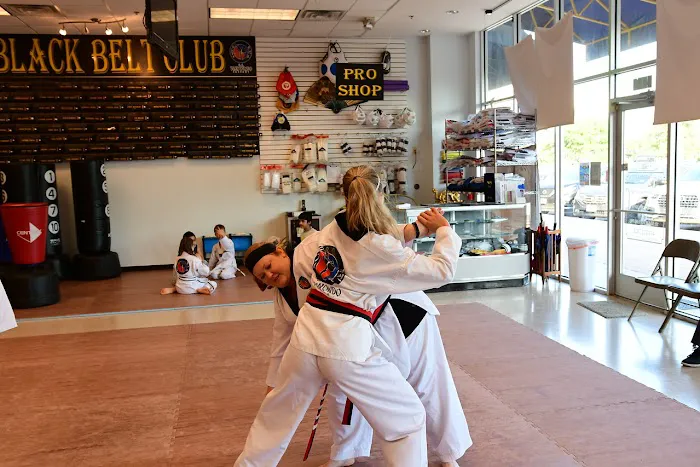 United States Taekwondo Academy Picture 5