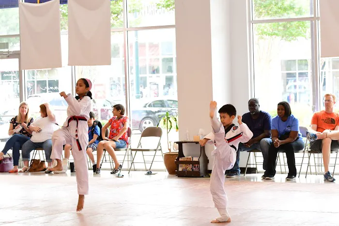 United States Taekwondo Academy Picture 7