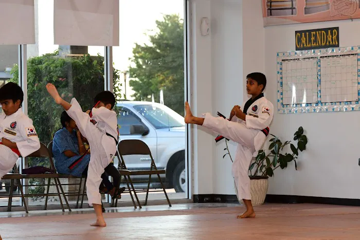 United States Taekwondo Academy Picture 8