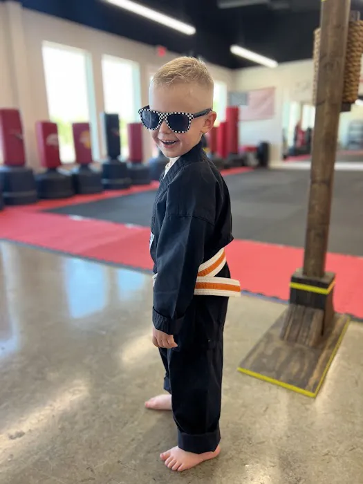 Lone Star Martial Arts Center Picture 2