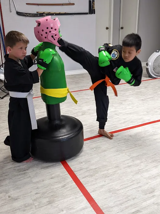 Lone Star Martial Arts Center Picture 4