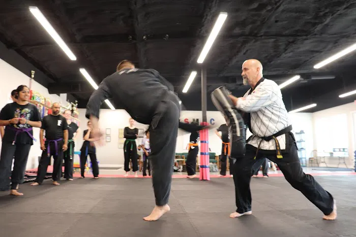 Lone Star Martial Arts Center Picture 6