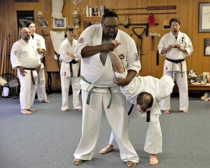 Dragonfly Karate & Kobudo Picture 6