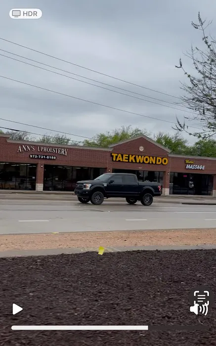 Dallas Taekwondo Academy Picture 8