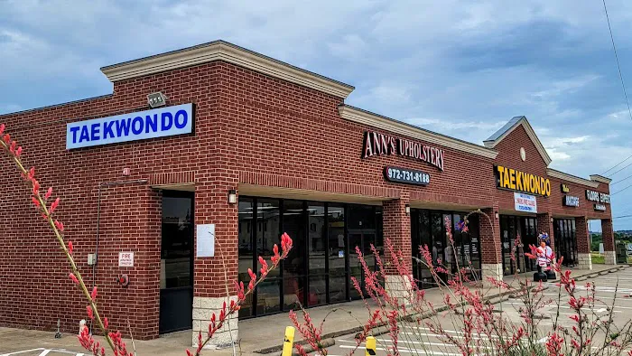 Dallas Taekwondo Academy Picture 6