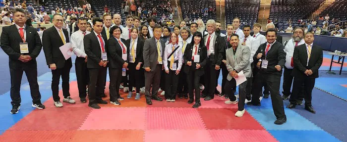 Dallas Taekwondo Academy Picture 5