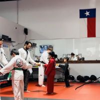 Atlasi Martial Arts Academy ico