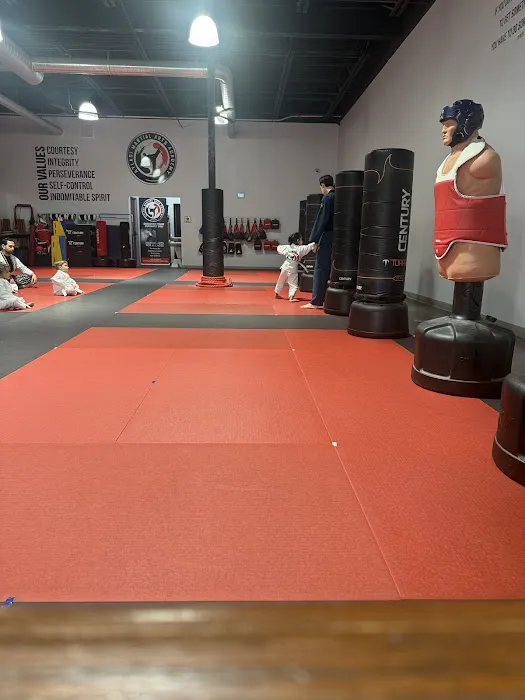 Atlasi Martial Arts Academy Picture 3