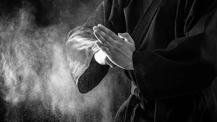 Atlasi Martial Arts Academy Picture 10