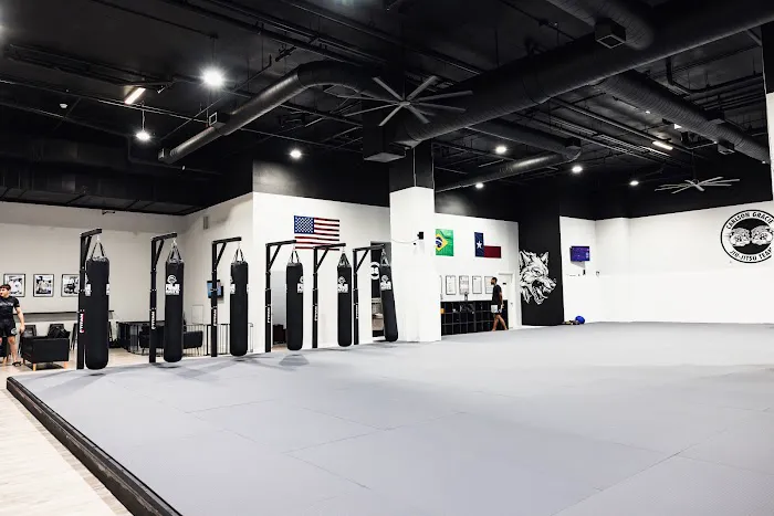 Carlson Gracie Lewisville Picture 5