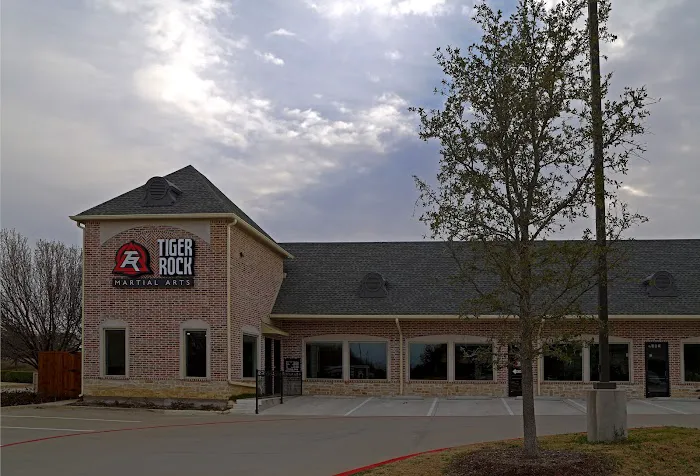 Tiger-Rock Martial Arts of Frisco-Legacy Dr Picture 5