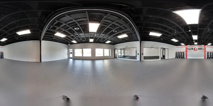 Tiger-Rock Martial Arts of Frisco-Legacy Dr Picture 9