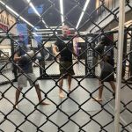 Warrior Martial Arts Academy Plano