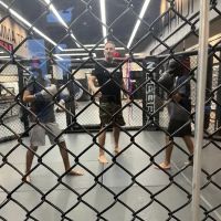 Warrior Martial Arts Academy Plano ico