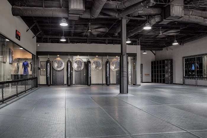 Warrior Martial Arts Academy Plano Picture 6